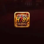 h789 game
